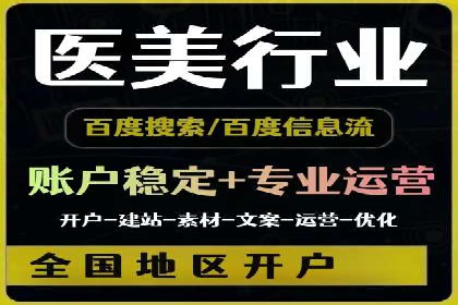 信息流广告的精准定位与效果优化案例分析